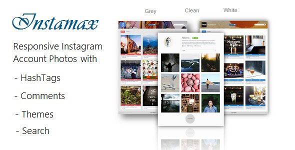 InstaMax - Instagram Photo Gallery on your Website