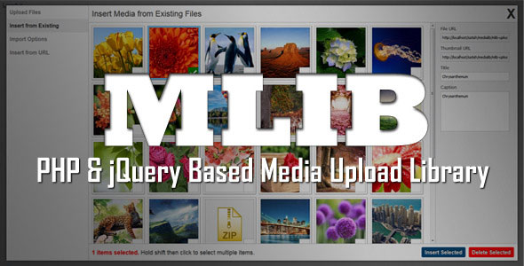 mLIB - PHP & jQuery based media upload library