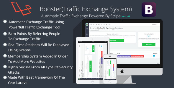 Booster Traffic Exchange System 