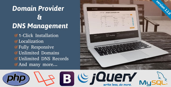 Domain Provider & DNS Management