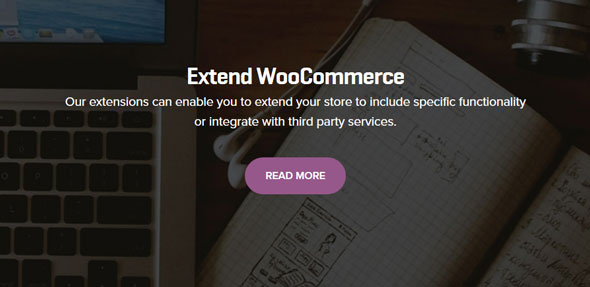 206 WooCommerce Extensions Pack + Updates
