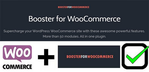 Booster Plus for WooCommerce v4.1.0
