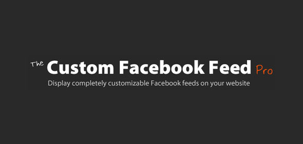 Custom Facebook Feed Pro v3.5.1