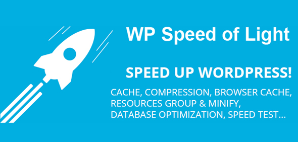 WP Speed of Light v2.6.4 – Speed Up WordPress Pro