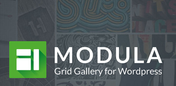 Modula Pro v2.2.3 - Best WordPress Image Gallery
