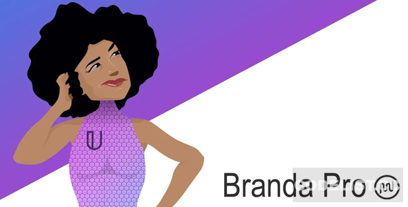 Branda Pro v3.4.7 - WordPress white label branding