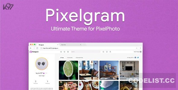 Pixelgram v1.6 - The Ultimate PixelPhoto Theme