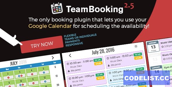 Team Booking v2.6 - WordPress booking system