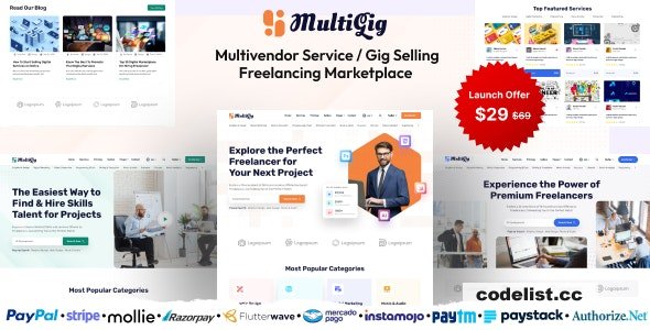 MultiGig v1.0 - Service / Gig Selling Freelancing Marketplace (Subscription Based) - nulled